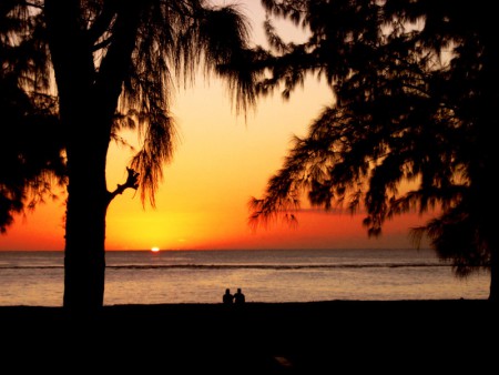 Egy tökéletes álom