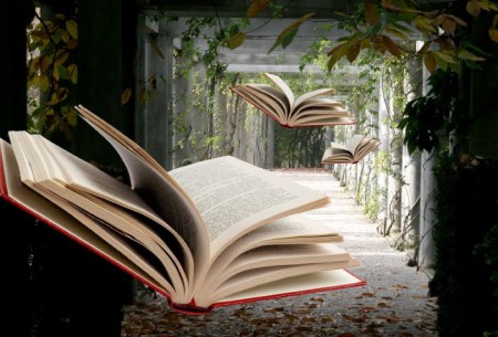 Fifti-fifti (2014.3.7., 14:42)