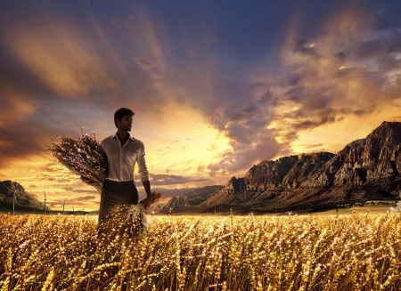 Aratás (2014.4.25., 14:19)