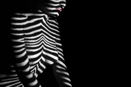 Zebra (2014.7.1., 14:45)